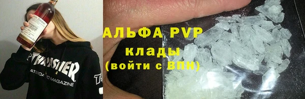 трава Новозыбков
